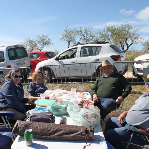 Almendro en flor 2026 (102)